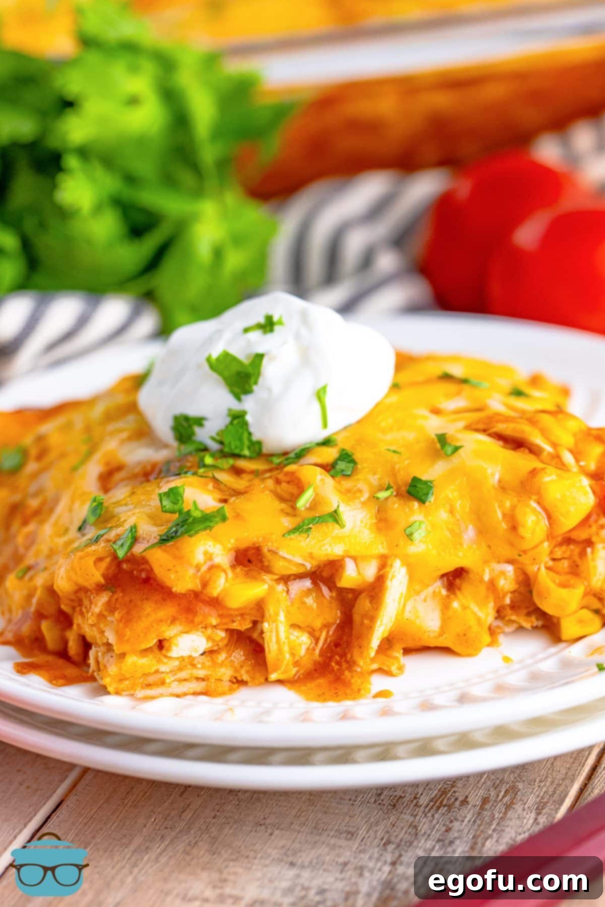Cheesy Chicken Enchilada Fiesta 2 A plate with a generous serving of Chicken Enchilada Casserole, showcasing its melted cheese and vibrant layers.