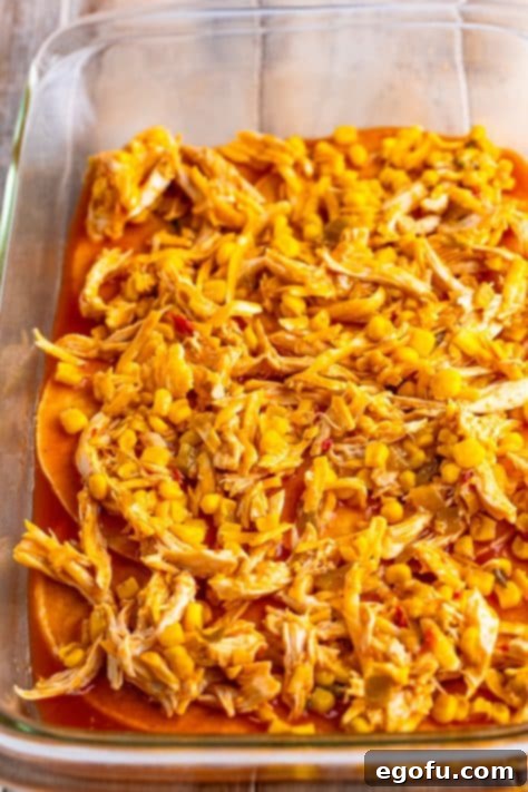 Cheesy Chicken Enchilada Fiesta 14 Half of the savory chicken mixture spread evenly over the first layer of enchilada sauce-coated tortillas.