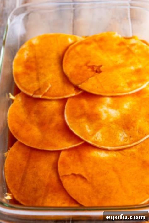 Cheesy Chicken Enchilada Fiesta 15 The second layer of six enchilada sauce-dipped tortillas placed over the chicken mixture.