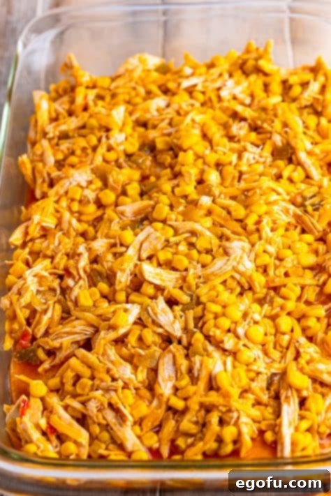 Cheesy Chicken Enchilada Fiesta 16 The remaining chicken mixture spread over the second tortilla layer, completing the filling.