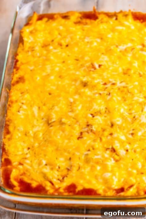 Cheesy Chicken Enchilada Fiesta 19 The finished chicken enchilada casserole, golden and bubbly with melted cheese, fresh from the oven.