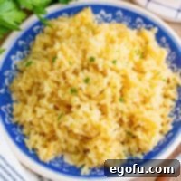 Looking down on a plate of perfectly cooked Garlic Butter Rice, ready to be served, with a hint of garnish.