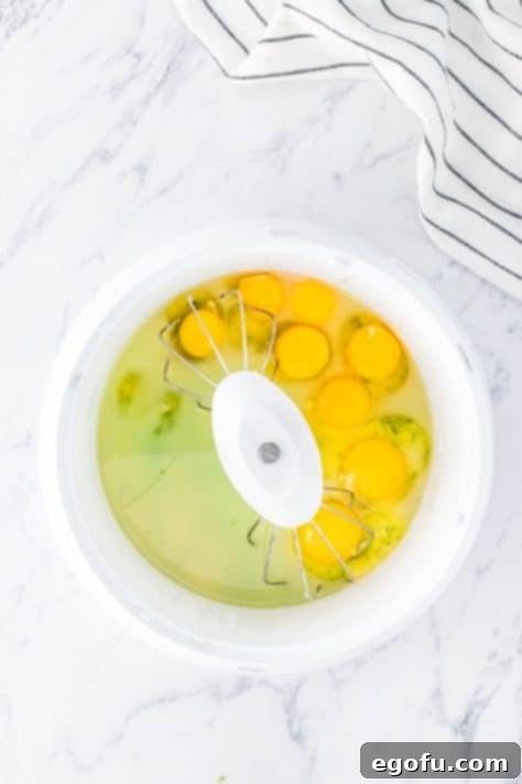 eggs, lime juice and green food coloring added to stand mixer.