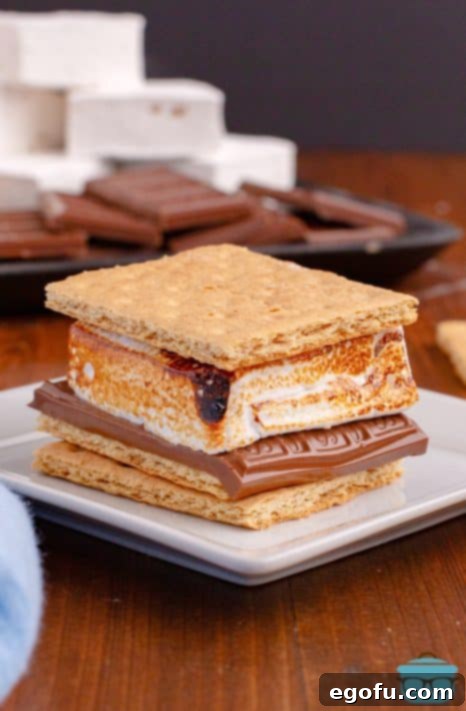 A S'more with a Homemade Marshmallow on it.