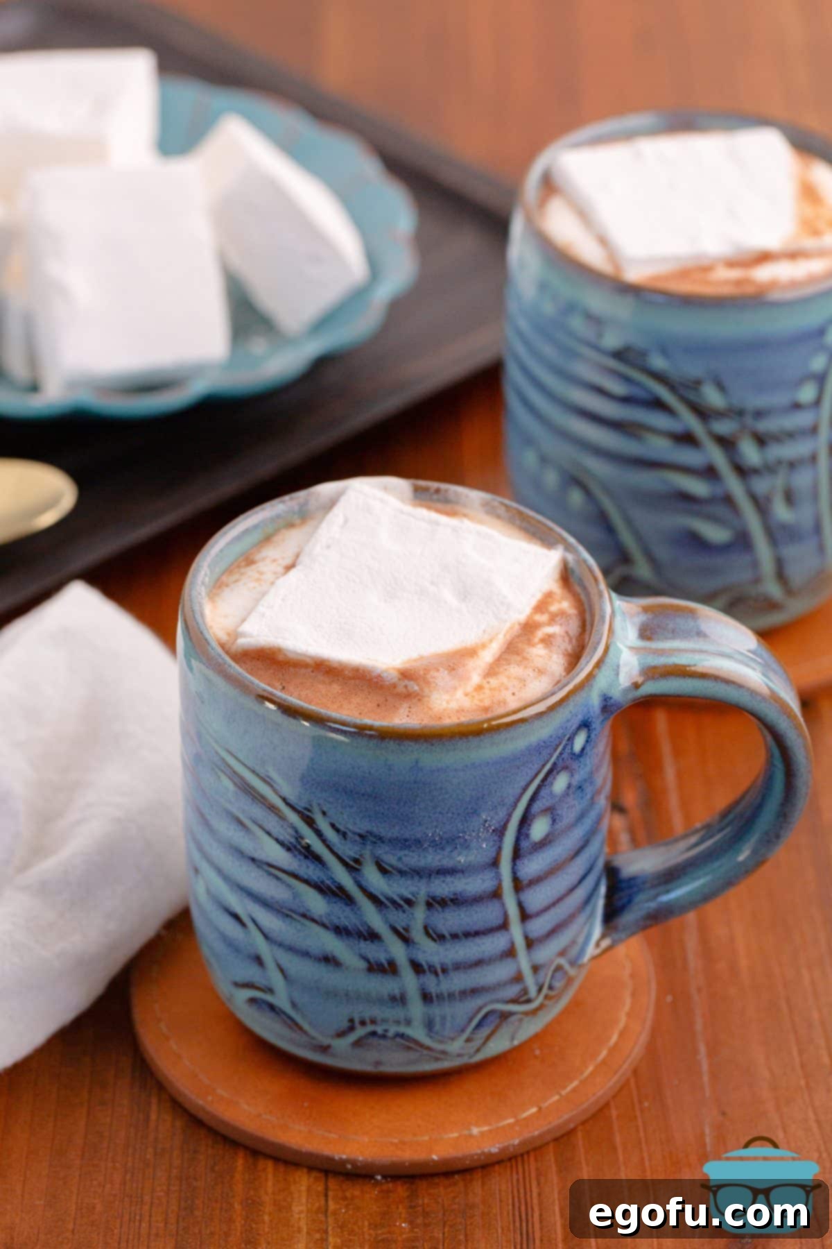 A mug of hot chocolate with a homemade Marshmallow.