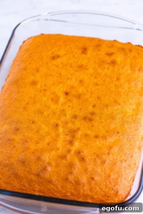 A baked orange cake.