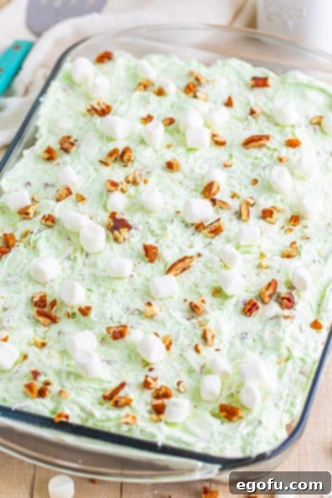 fully finished Watergate cake in baking dish.