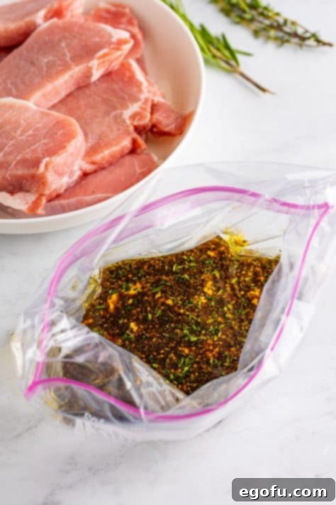 An open Ziplock bag showcasing the mixed pork chop marinade, ready for the meat.