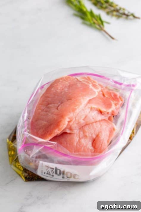 Raw pork chops being placed into a Ziplock bag filled with balsamic marinade, ready for infusion of flavor.