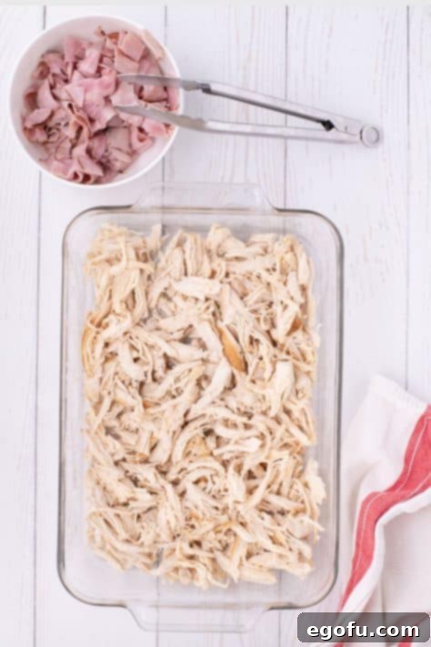 Golden Baked Chicken Ham and Swiss Casserole 12 Shredded chicken in a baking dish.