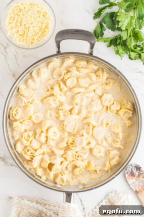 Alfredo sauce covering tortellini in a skillet.