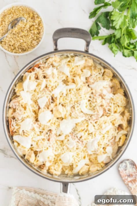 Mozzarella cheese on top of tortellini and chicken, with panko breadcrumbs waiting to be sprinkled.