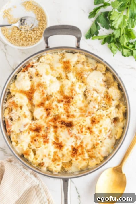 Baked chicken Alfredo tortellini in a skillet, with a golden, bubbly cheese and Panko topping.
