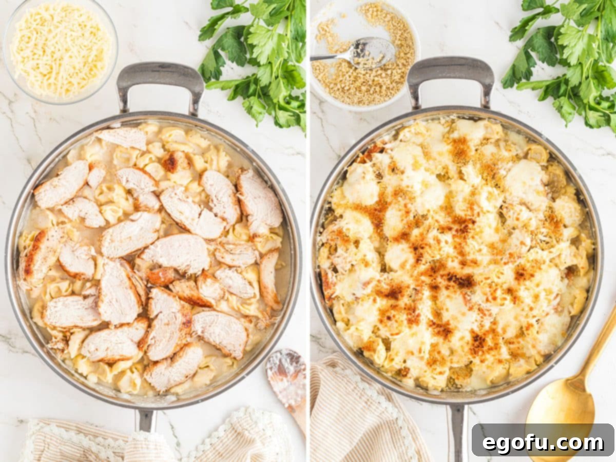 Beautifully sliced chicken strips arranged atop Alfredo-coated tortellini, and a skillet brimming with baked chicken Alfredo tortellini, golden and bubbling from the broiler.