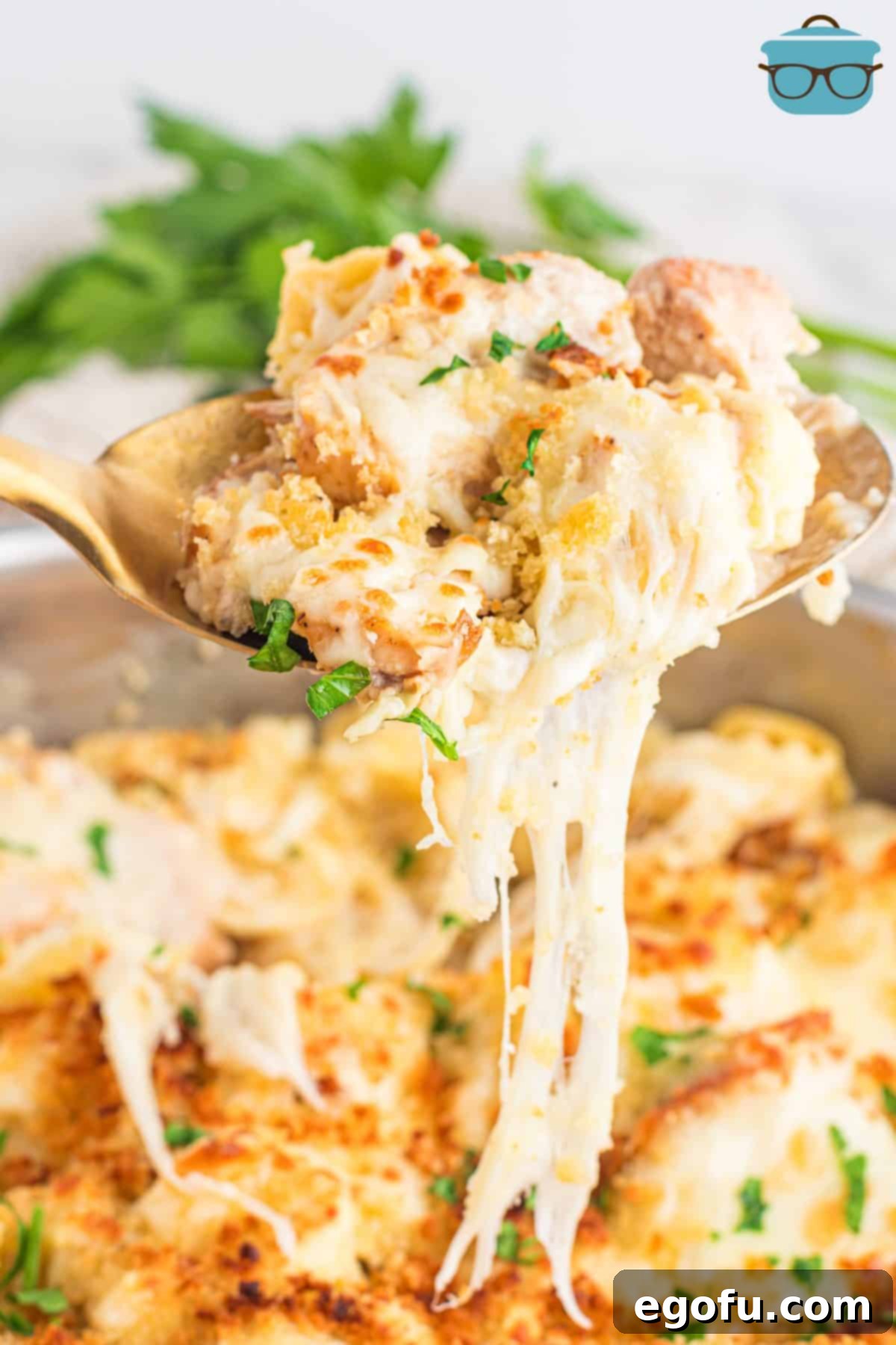 A generous scoop of Chicken Alfredo Tortellini being served, highlighting its rich textures and inviting aroma.