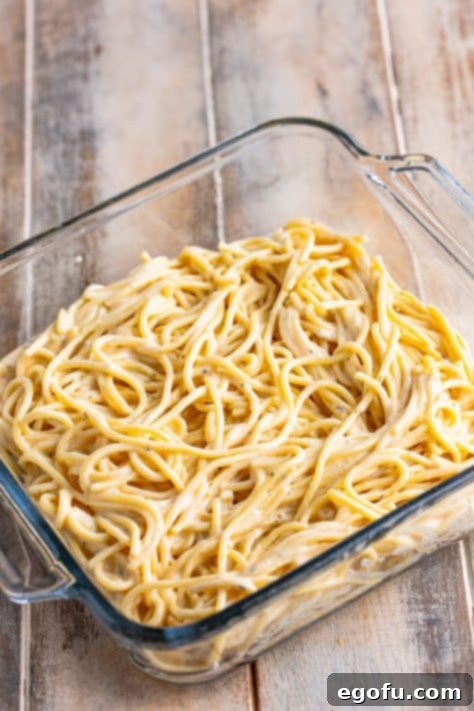 Alfredo-coated spaghetti spread evenly in the bottom of a baking dish.