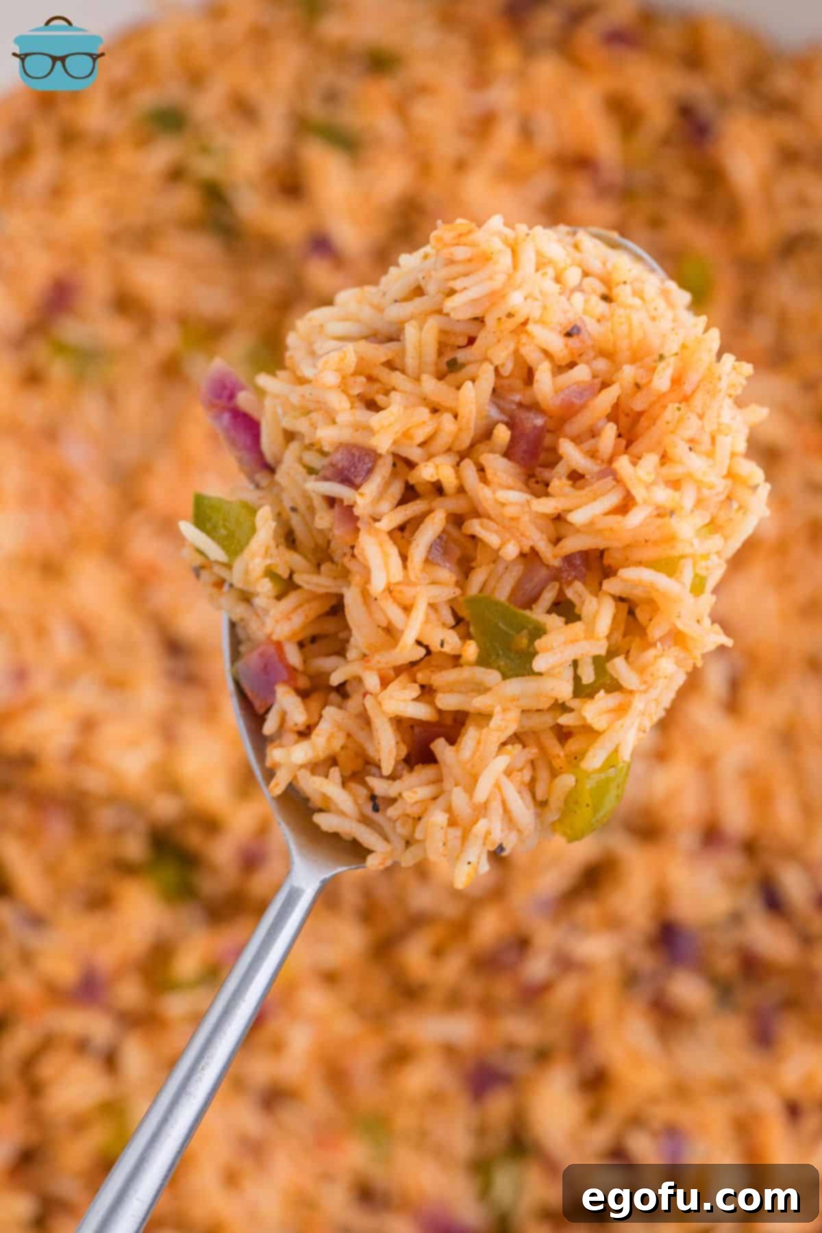Looking down on a scoop of Cajun Rice.