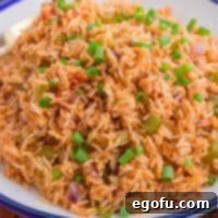 Looking down on a plate of Cajun Rice.