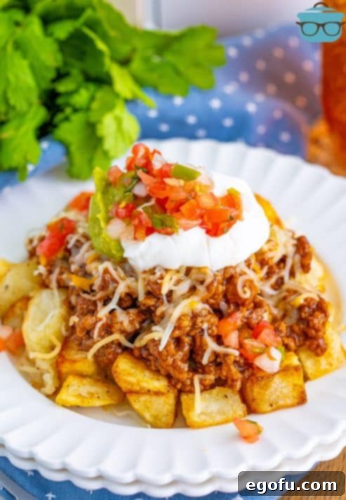 Looking down on a white plate of Taco Potatoes, beautifully arranged and ready to be enjoyed.
