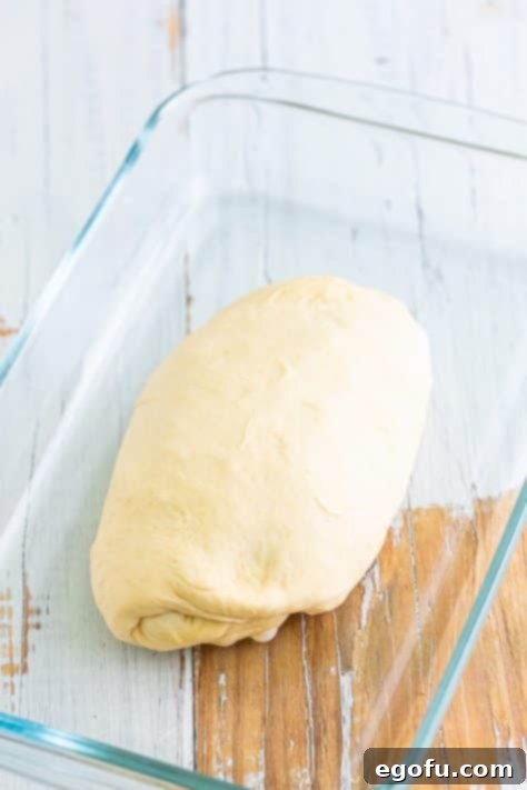 A thawed loaf of frozen bread dough.
