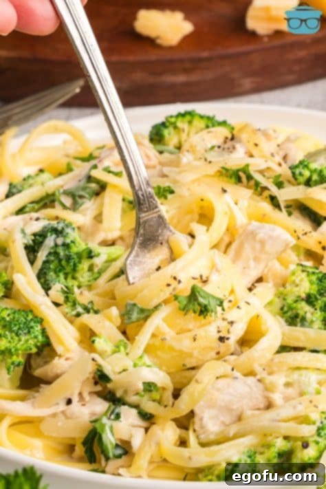 A fork in some Chicken and Broccoli Alfredo pasta, ready to be eaten.