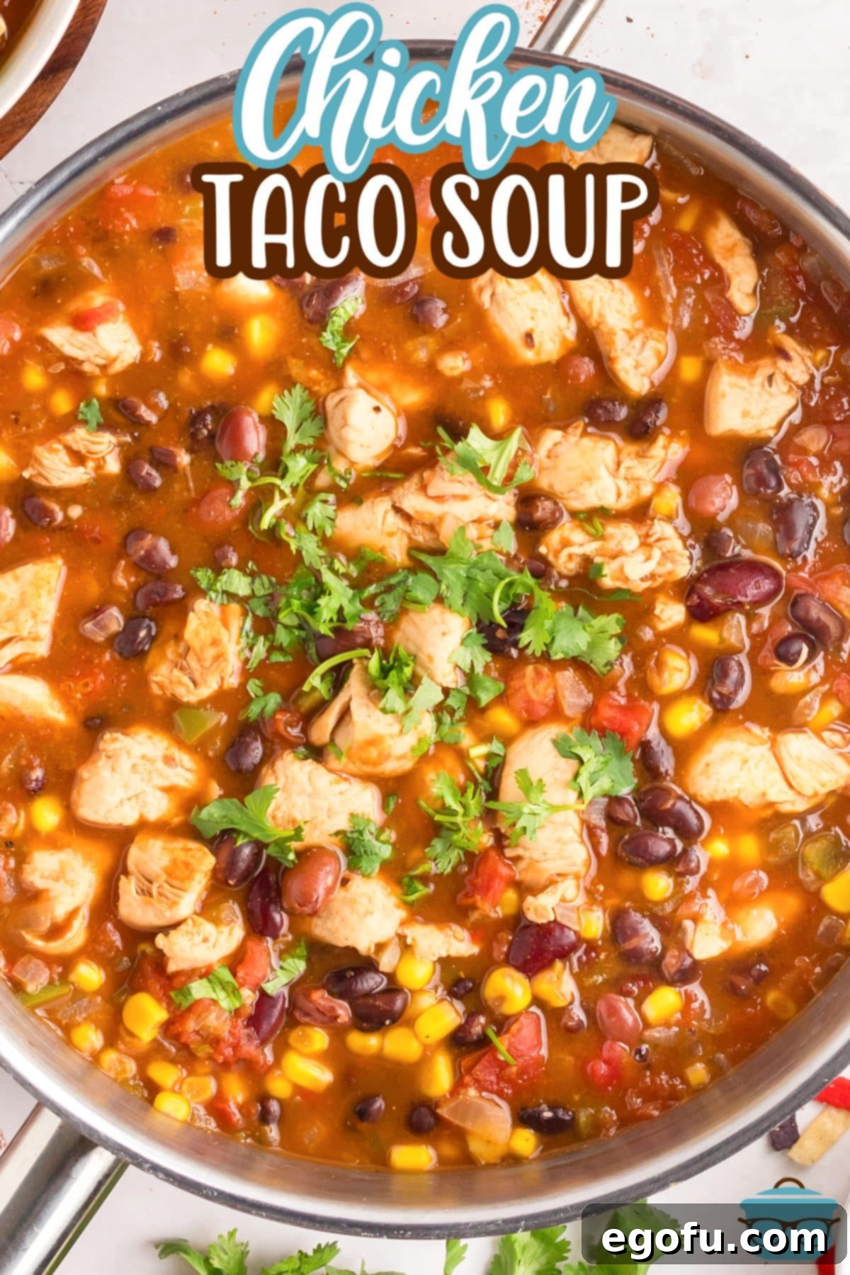 A large pot filled with homemade Chicken Taco Soup, ready to be served.