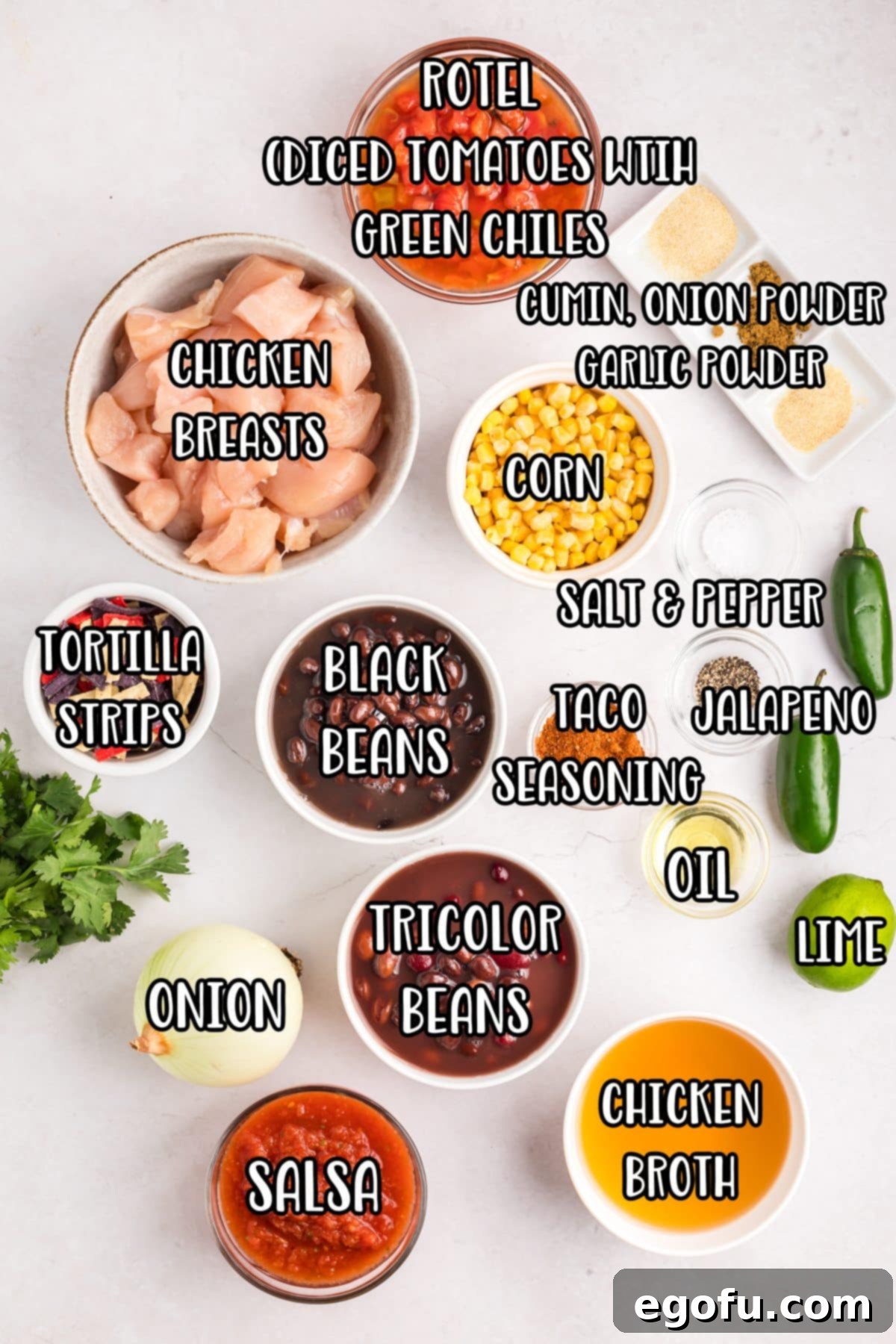 A flat lay photograph showcasing all the fresh and canned ingredients for Chicken Taco Soup: oil, diced chicken breasts, onion, chicken stock, tri-color beans, black beans, Rotel, corn, salsa, lime, chopped jalapeno, taco seasoning, garlic powder, onion powder, cumin, and black pepper.