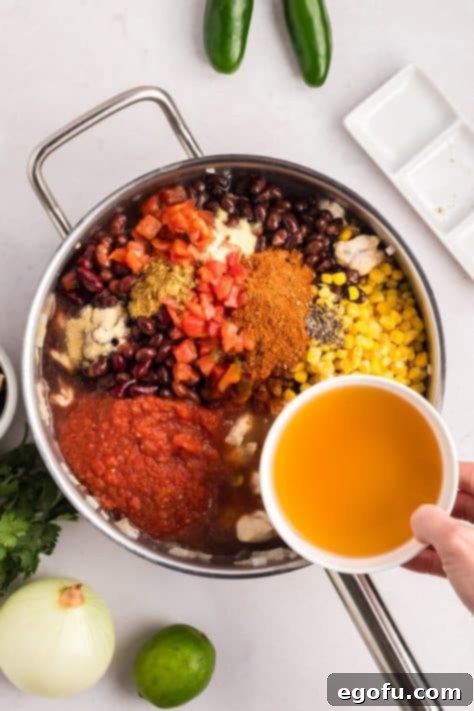 Chicken, onions, chicken stock, tricolor beans, black beans, diced tomatoes, corn, salsa, lime juice, jalapeno,taco seasoning, onion powder, garlic powder, cumin, and black pepper in a skillet.