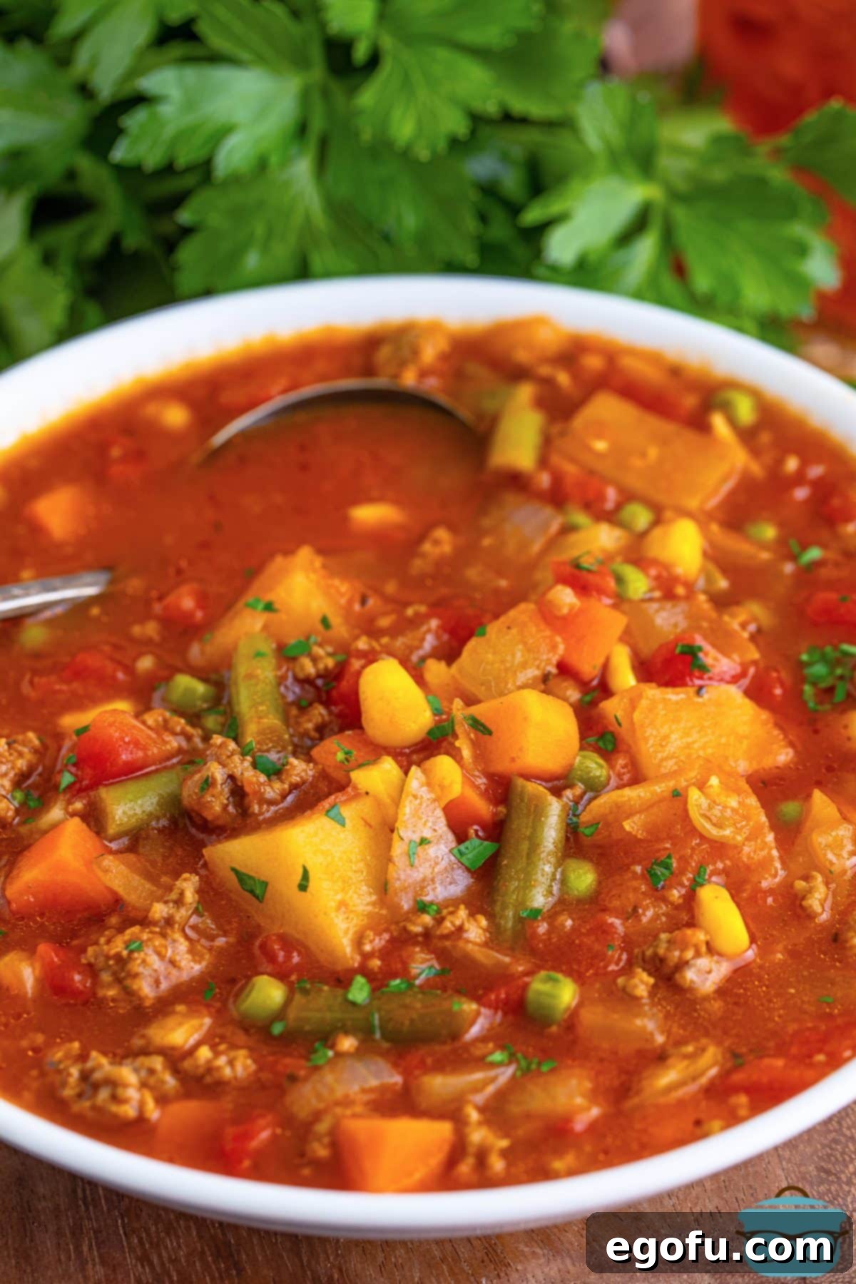 A large serving bowl of Hamburger Vegetable Soup.