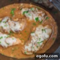 Looking down on a Crock Pot filled with French Onion Chicken.