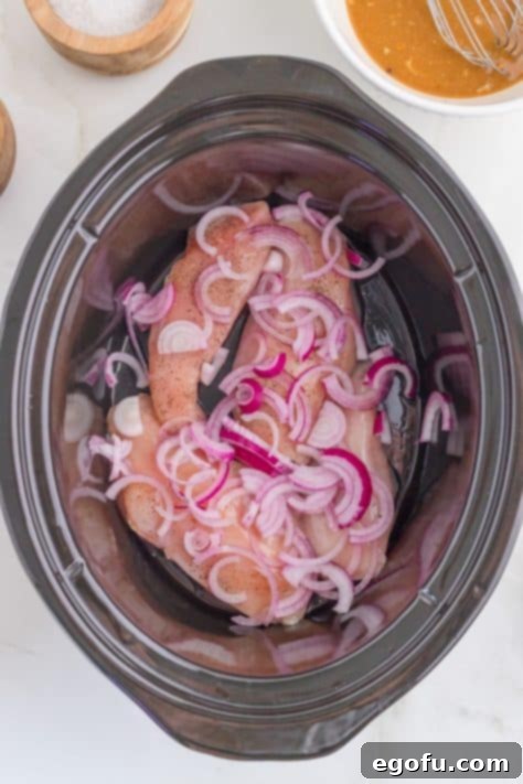 Onion and chicken in a Crock Pot.
