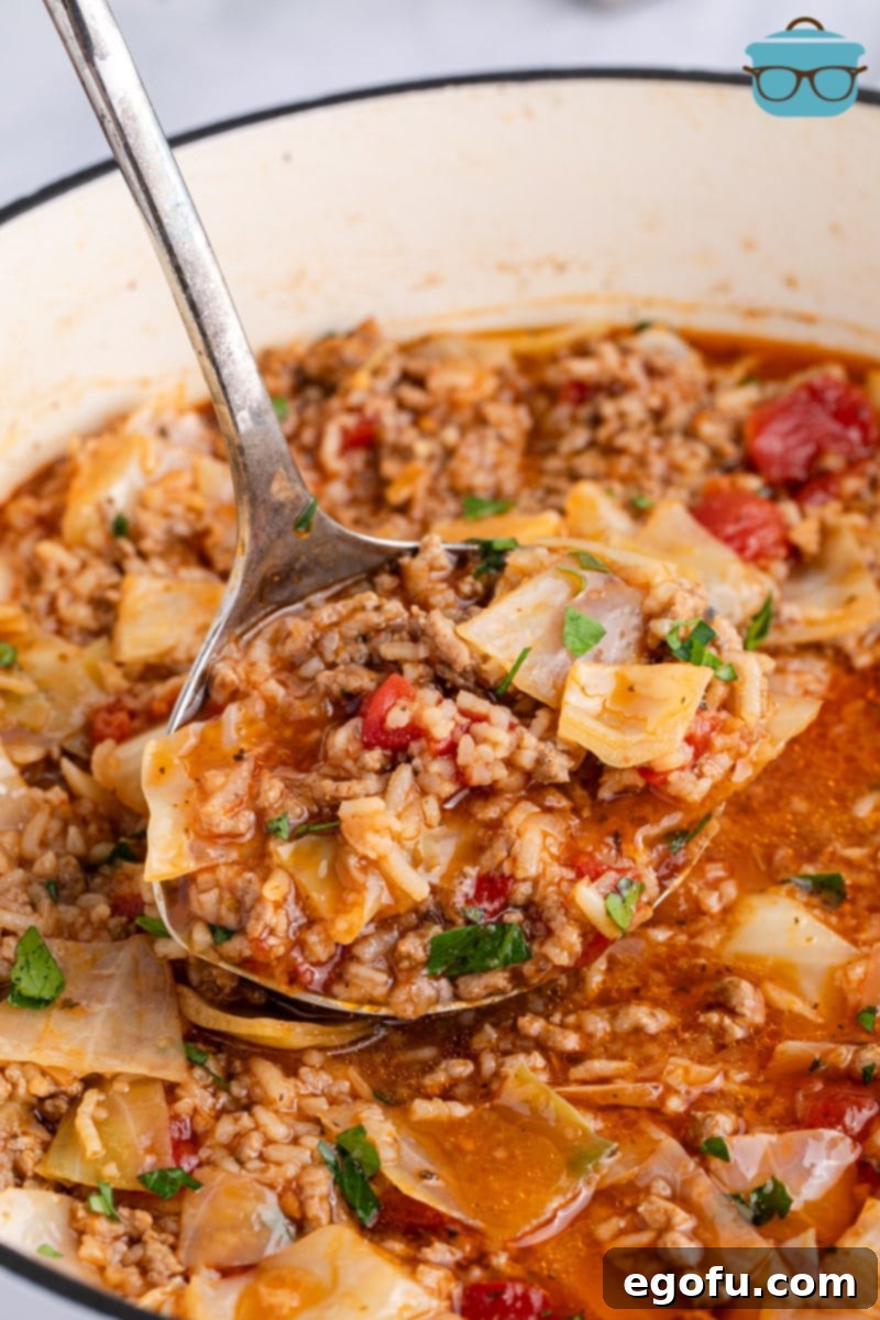 A ladle scooping some Cabbage Roll Soup from a rustic bowl, showcasing its rich texture and ingredients.