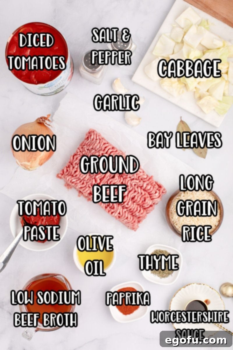 A vibrant flat lay of all the Cabbage Roll Soup ingredients, including diced tomatoes, onion, ground beef, bay leaves, tomato paste, olive oil, thyme, long grain rice, chopped cabbage, paprika, Worcestershire sauce, beef broth, salt, and pepper.