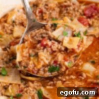 Up close looking at a pot of Cabbage Roll Soup with a ladle removing some.