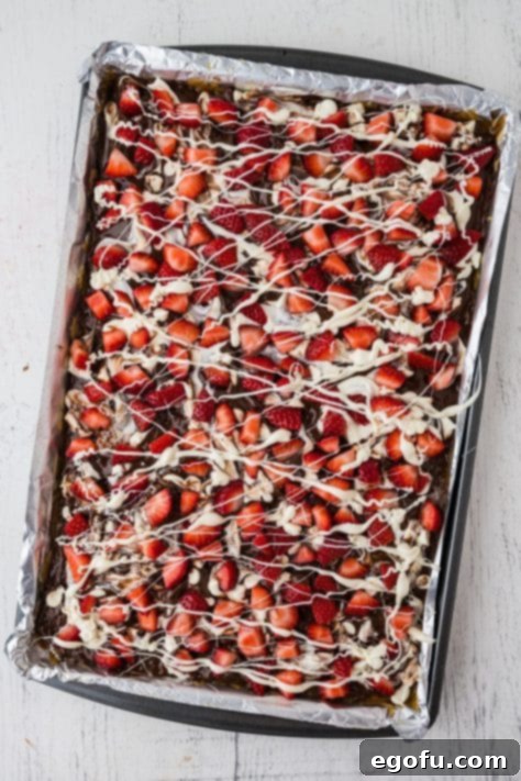 Decadent Strawberry Chocolate Bark 15 Set Chocolate Covered Strawberry Bark on a sheet.