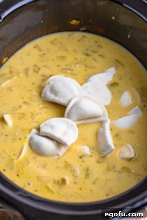 Mini pierogies being added to a stew.