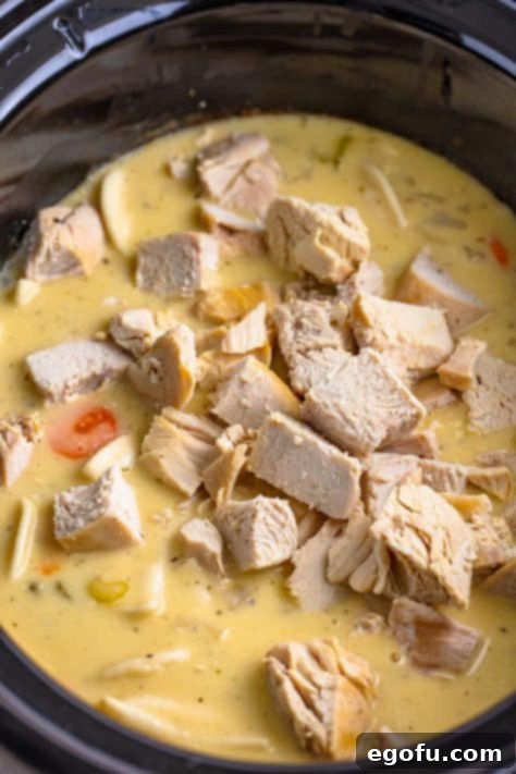 Diced chicken and cooked pierogies fully incorporated into the stew.