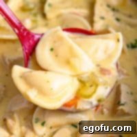 Close-up of a ladle lifting a portion of the rich and inviting Crock Pot Chicken Pierogi Stew.