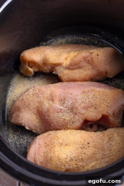 Seasoned chicken in a slow cooker.