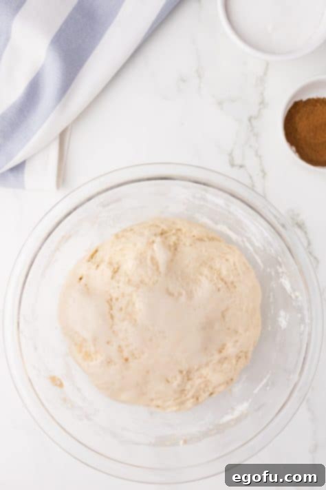 Dough rising in a bowl.