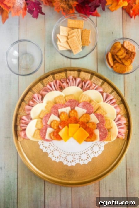 Crackers, meats, and cheese arranged in a large semi circle with layers.