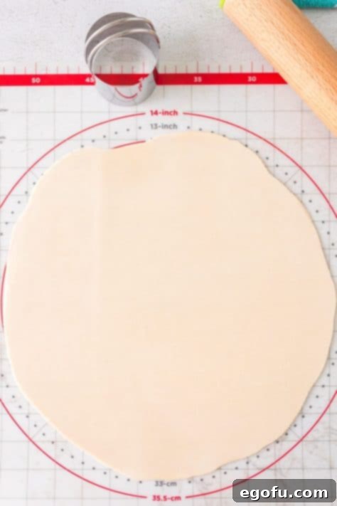Rolled out pie crust on a baking mat.