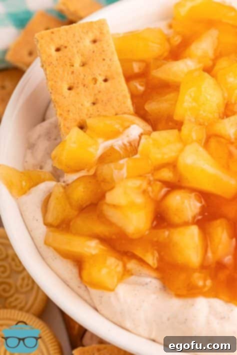 A graham cracker being dunked in Apple Pie Dip.