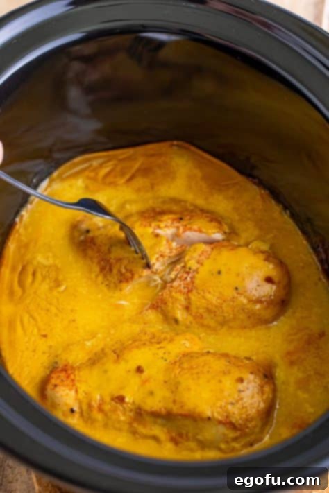 Date Night Slow Cooker Chicken and Gravy 14 Chicken being shredded with a fork.