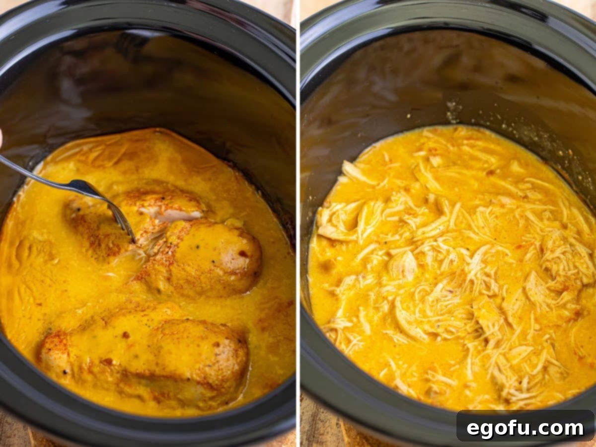 Date Night Slow Cooker Chicken and Gravy 7 A fork shredding chicken and shredded chicken in a sauce in a crockpot.