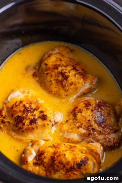 Chicken stock mixture with chicken in a Crockpot.