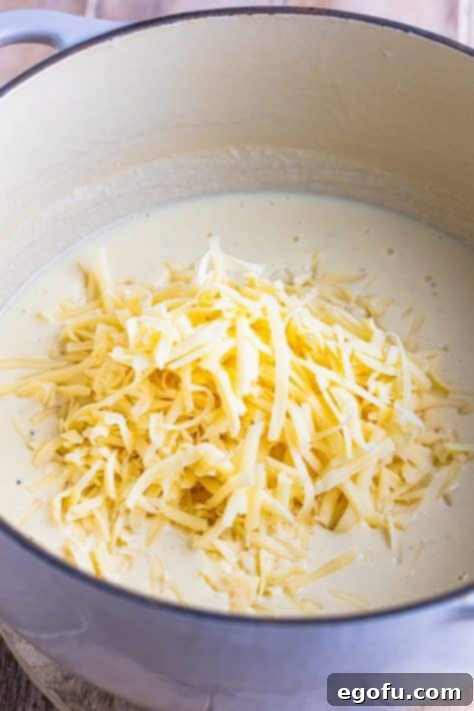 Swiss Cheese added to a sauce pot.