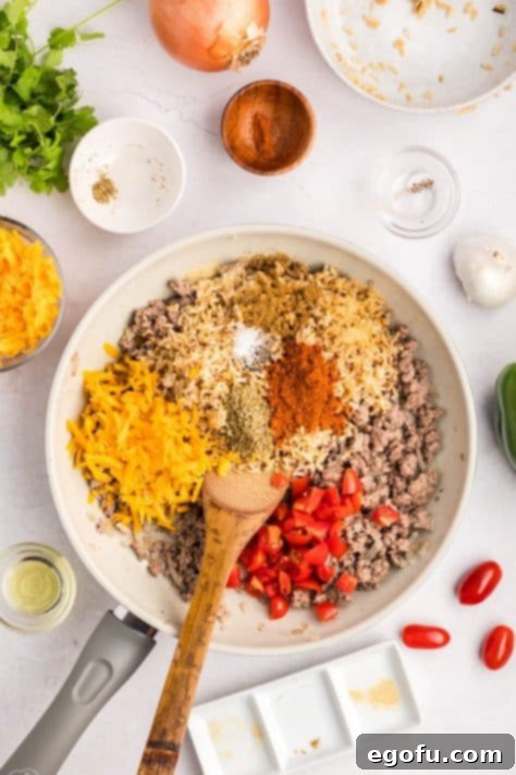 Beef, onion, garlic, cheese, tomatoes, rice, and seasonings in a skillet.