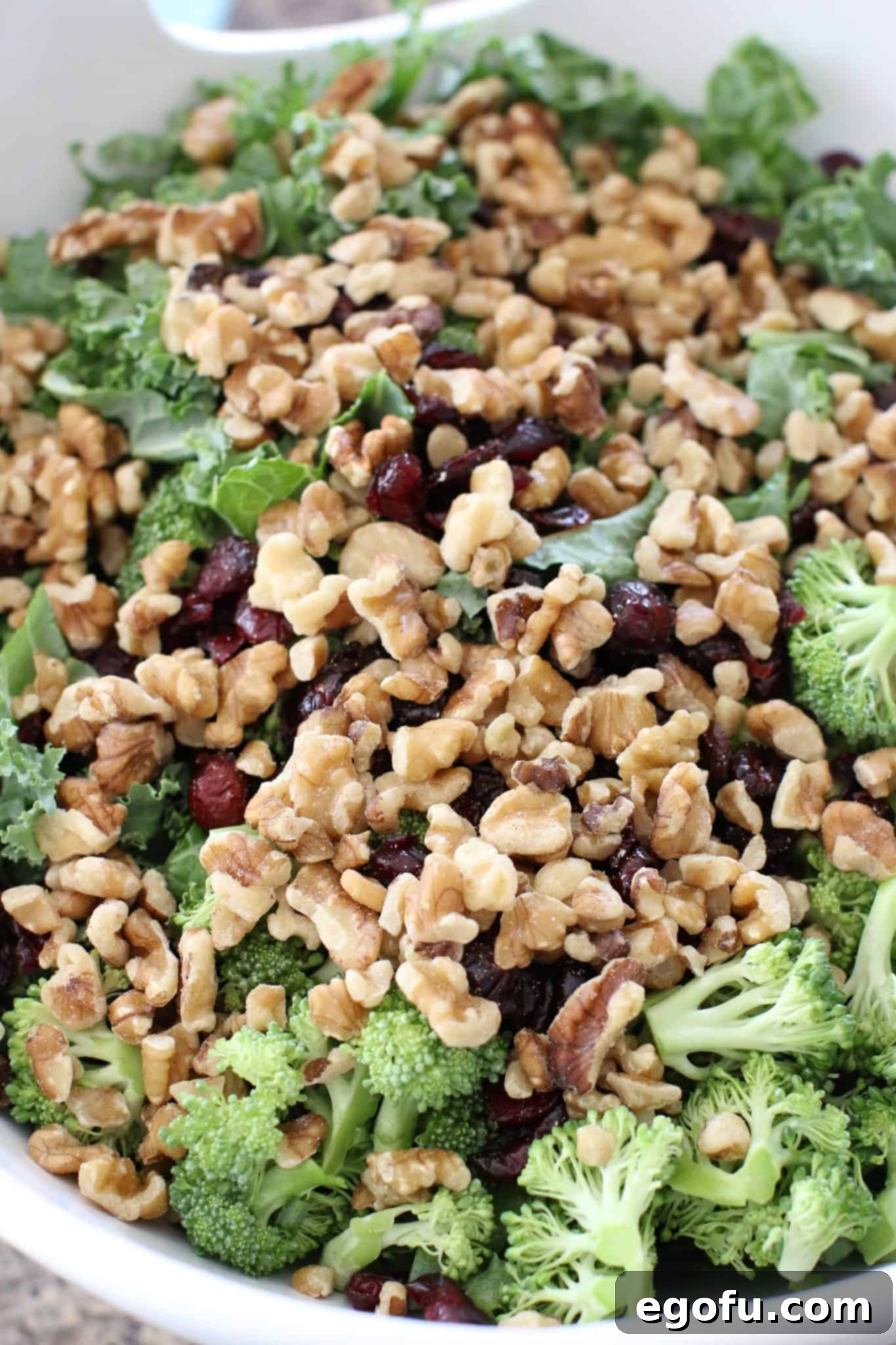 Chopped walnuts and dried cranberries are added on top of the kale and broccoli mixture in a large white bowl, preparing the salad for dressing.