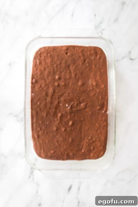 Chocolate cake mix in a baking dish.